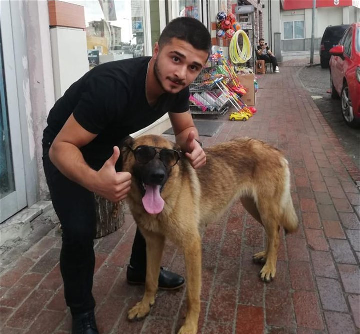 Trabzon'da bekçiyi ısıran köpek gözaltına alındı! - Resim : 1