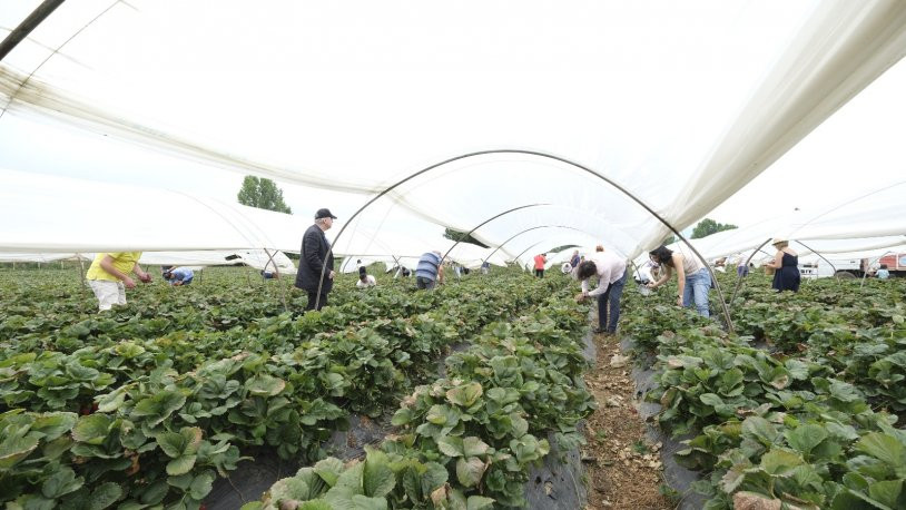 Sürdürebilirliğin bir halkası da Agro Turizm - Resim : 3