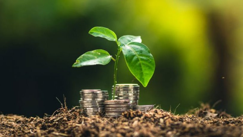 CHP'nin 'yeşil finansman' planı hazır: 'Temel kurum İklim Bankası olacak'