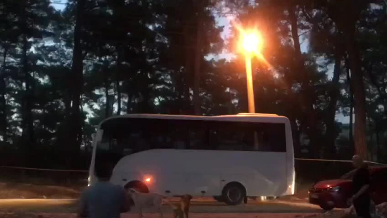 Akbelen Ormanı'na sabah baskını! "Kesim motorları ile girdiler, çamları kesmeye başladılar"