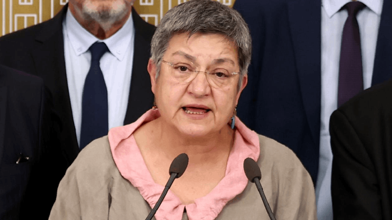 MSB’nin Şebnem Korur Fincancı hakkında açtığı dava ertelendi