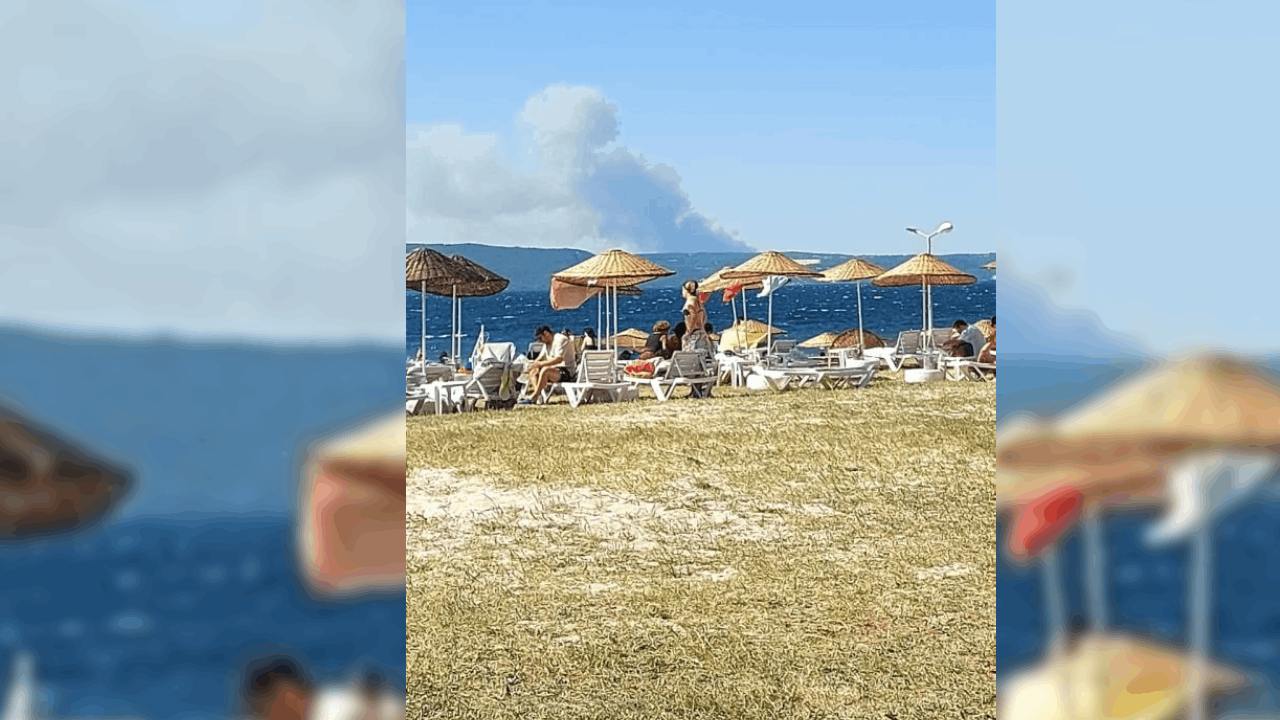 Çanakkale'deki orman yangını büyüyor: İkinci bir duyuruya kadar girişler durduruldu