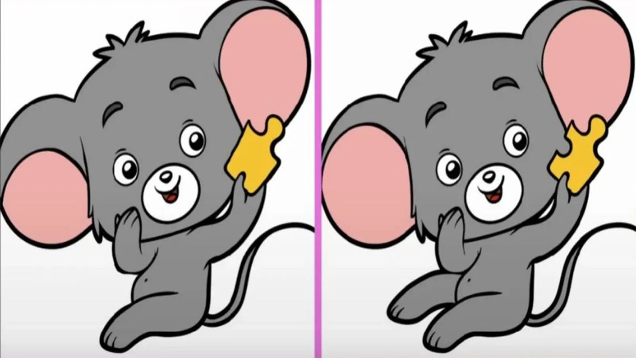 Yapboz yapan iki mutlu fare arasındaki 3 farkı 12 saniyede görebilenler yüksek IQ'lu - Resim: 1