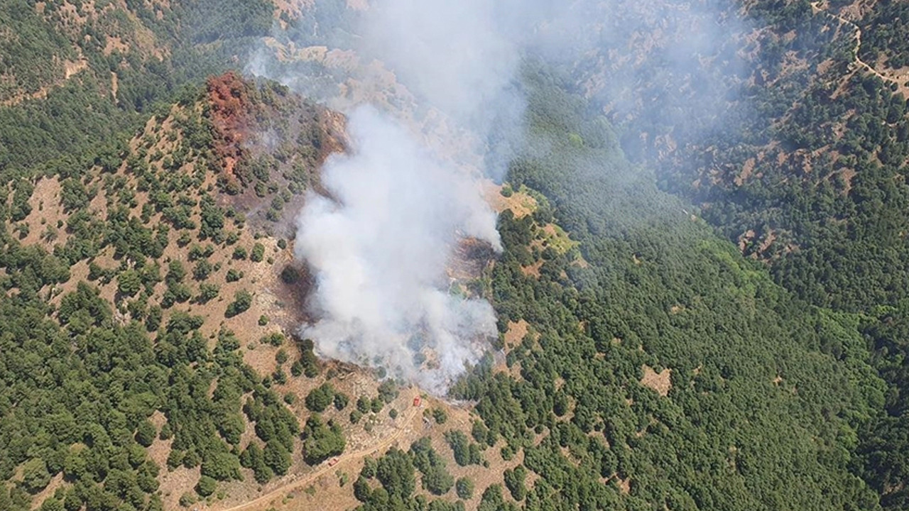 Manisa'da Orman Yangını: Havadan ve Karadan Müdahale Başladı