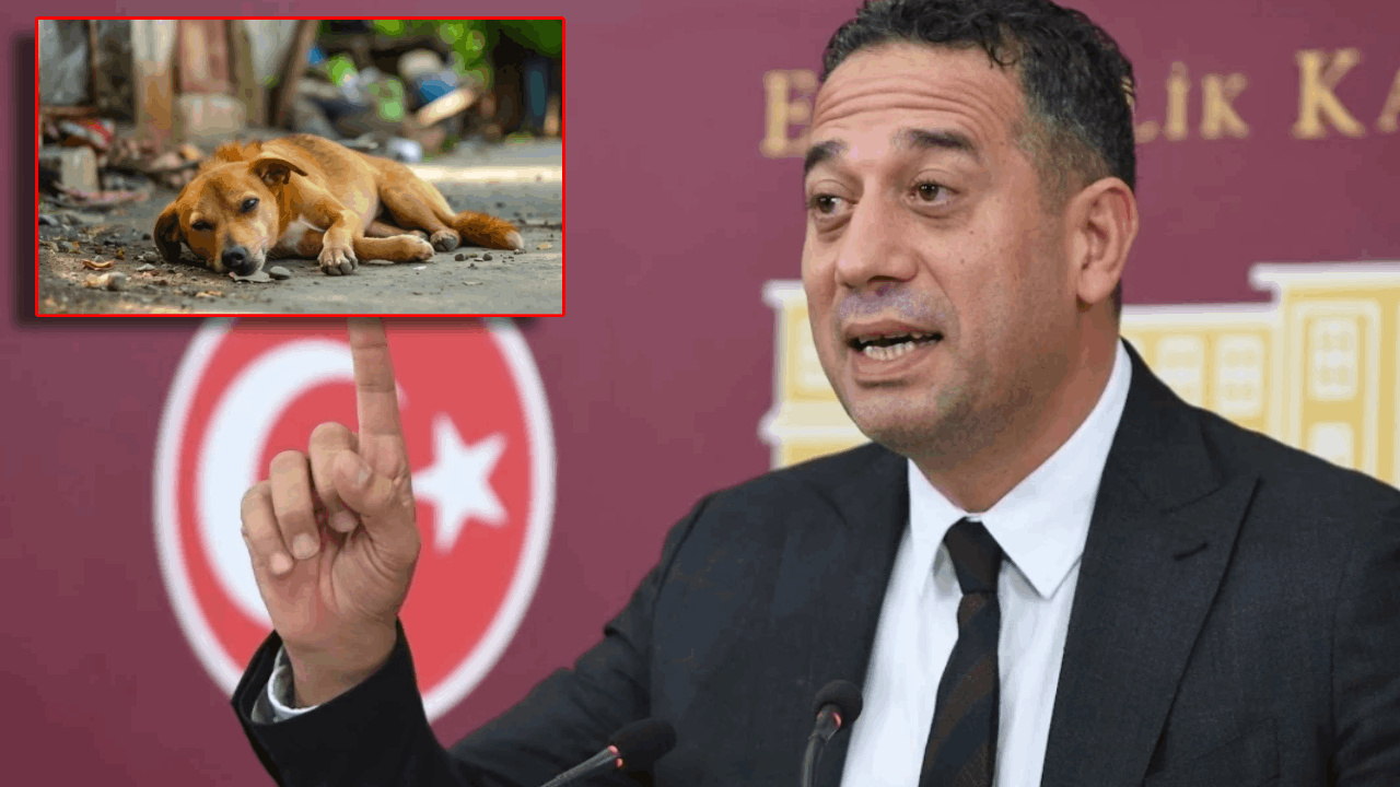 Başarır'dan Ölüm Yasasına Sert Tepki: Ötanazi Maddeleri Revize Edilmezse Direneceğiz
