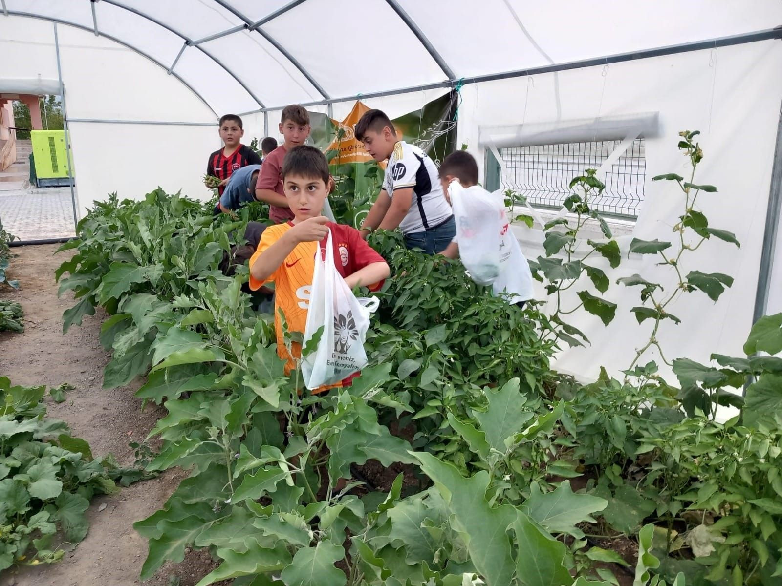 Okulda Çiftlik: Minik Öğrenciler Sebze Hasadı Yaptı - Resim: 2