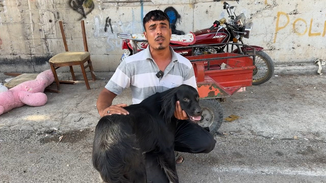 Köpeğin Araçla Sürüklendiği Görüntülere Tepki Yağmıştı: Sürücünün İfadesi Ortaya Çıktı