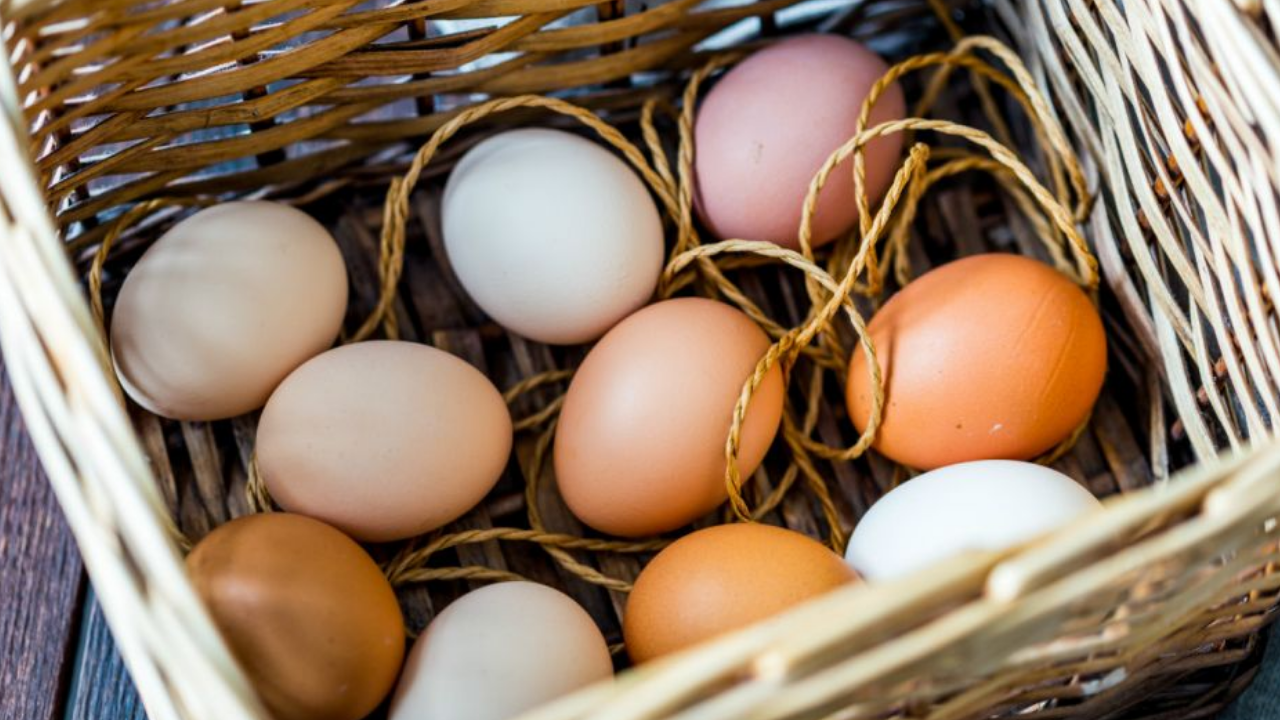 Yumurtaların Rengi Meğer Böyle Belirleniyormuş! Hangisinin Daha Sağlıklı Olduğu Belli Oldu - Resim: 1