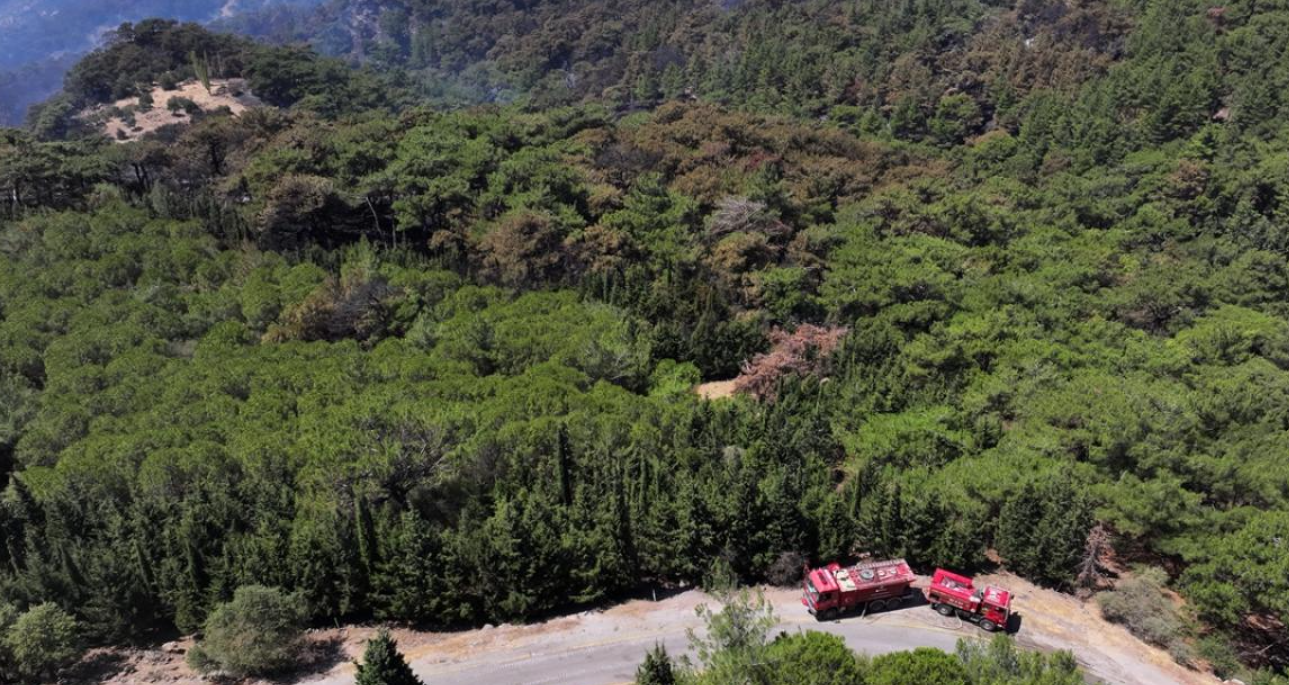 Aydın, Bolu ve İzmir'deki Yangınların Korkunç Bilançosu Havadan Görüntülendi: Binlerce Ağaç Kül Oldu - Resim: 12