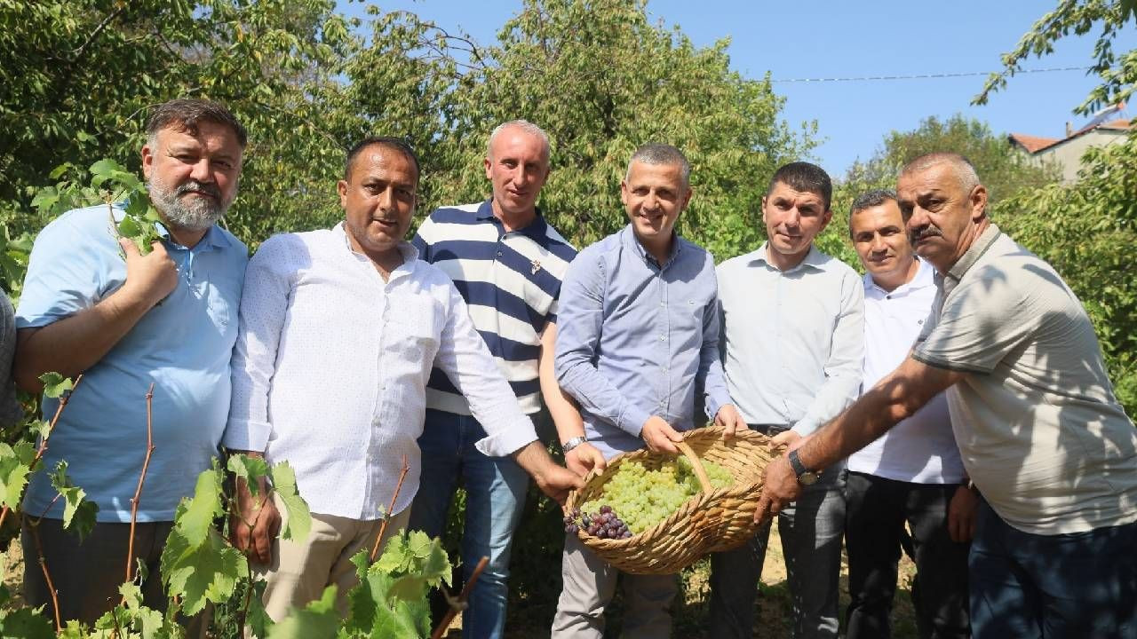 Lezzetiyle Dünyaya Nam Salan Meyvede Hasat Başladı: Bu Sene Bolca Yetişti, Çiftçiler Hasada Yetişemiyor - Resim: 3