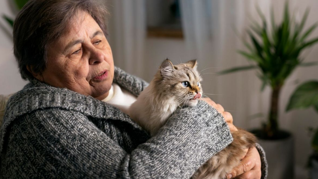 İşte Bu Yüzden 65 Yaş Üstü İnsanlar Kedilerle Aynı Evde Kalmamalı - Resim: 3