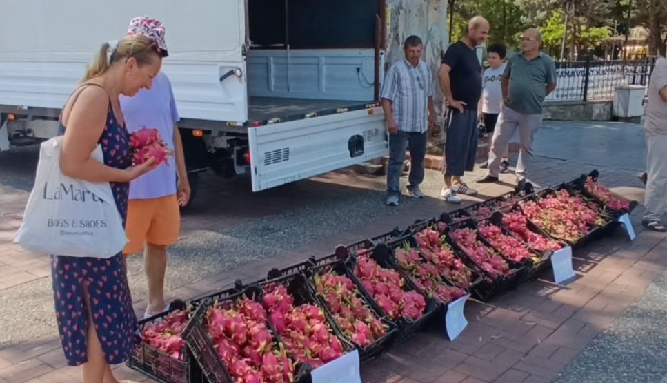 Tanesi 150 Liradan Satılan Meyveyi Bedavaya Dağıttı: Kapış Kapış Aldılar! Faydası Saymakla Bitmiyor - Resim: 4