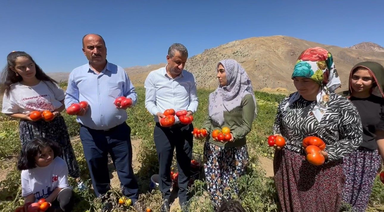 Hakkari’de Hasadına ‘Kadın Eli’ Değdi: Antalya'yı Solladı, Tam 3 Çeşidi Var - Resim: 3