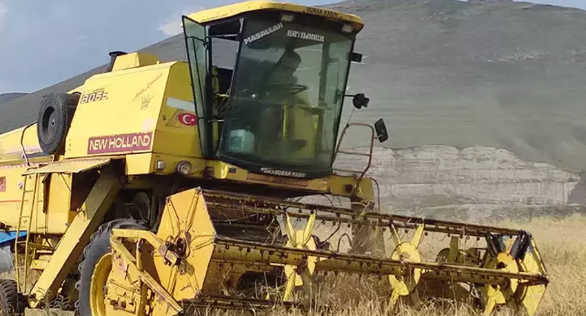 Ardahan'da 13 Bin Yıllık Hasat: Gelenek Devam Ediyor - Resim: 1