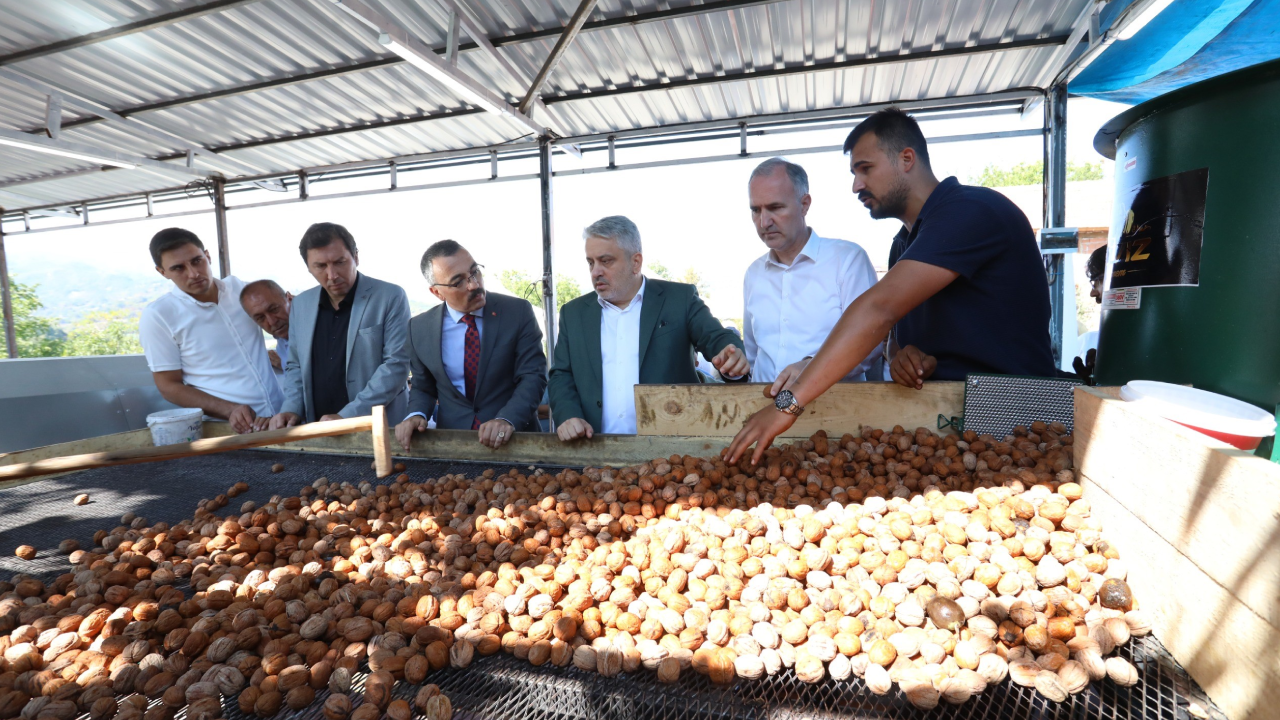 Yılın İlk Hasadı Başladı: Kansere Karşı Koruyor, Uykusuzluğu Gideriyor - Resim: 2