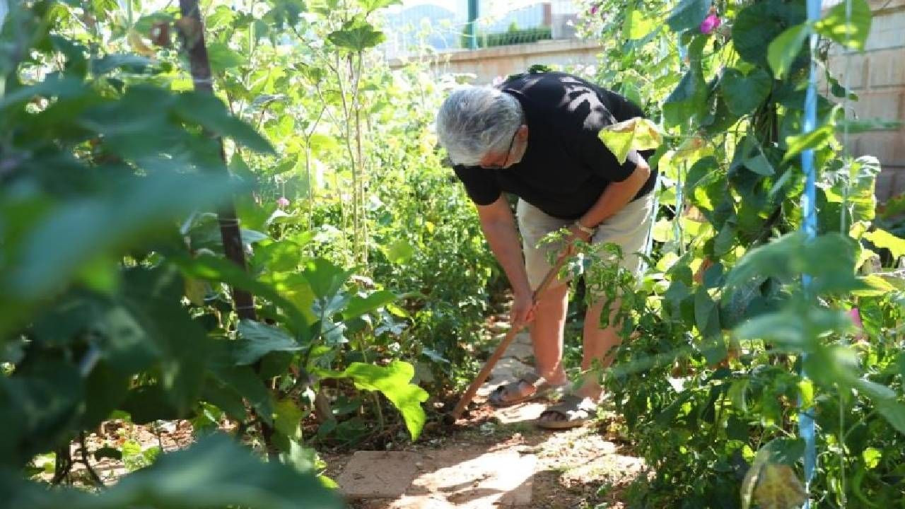 Pazartesi İtibariyle Başlıyor: 40 Yaş Üstü Herkese Ücretsiz - Resim: 2