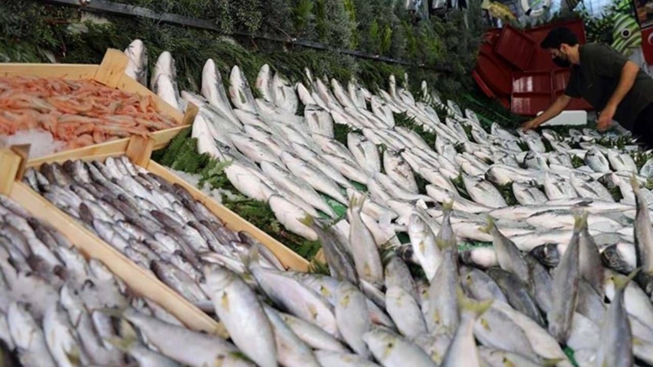 Ne Çinekop Ne İstavrit Ne de Palamut! Sağlığa En Yararlı 3 Balık Bakın Hangisiymiş - Resim: 2