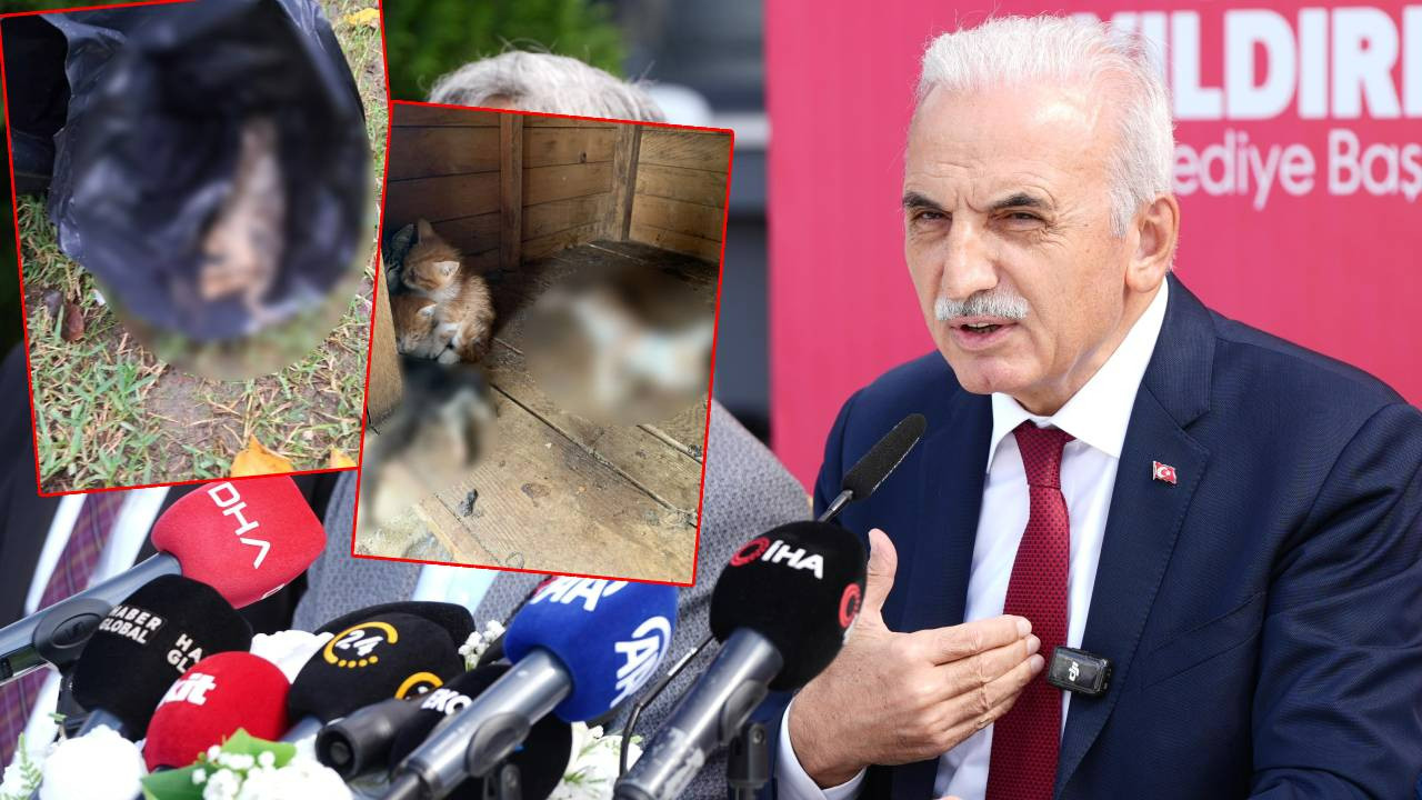 Katliamın Ardından Akılalmaz Savunma! AKP'li Ümraniye Belediyesi Hayvanseverleri 'Hayvanları Çalmak'la Suçladı
