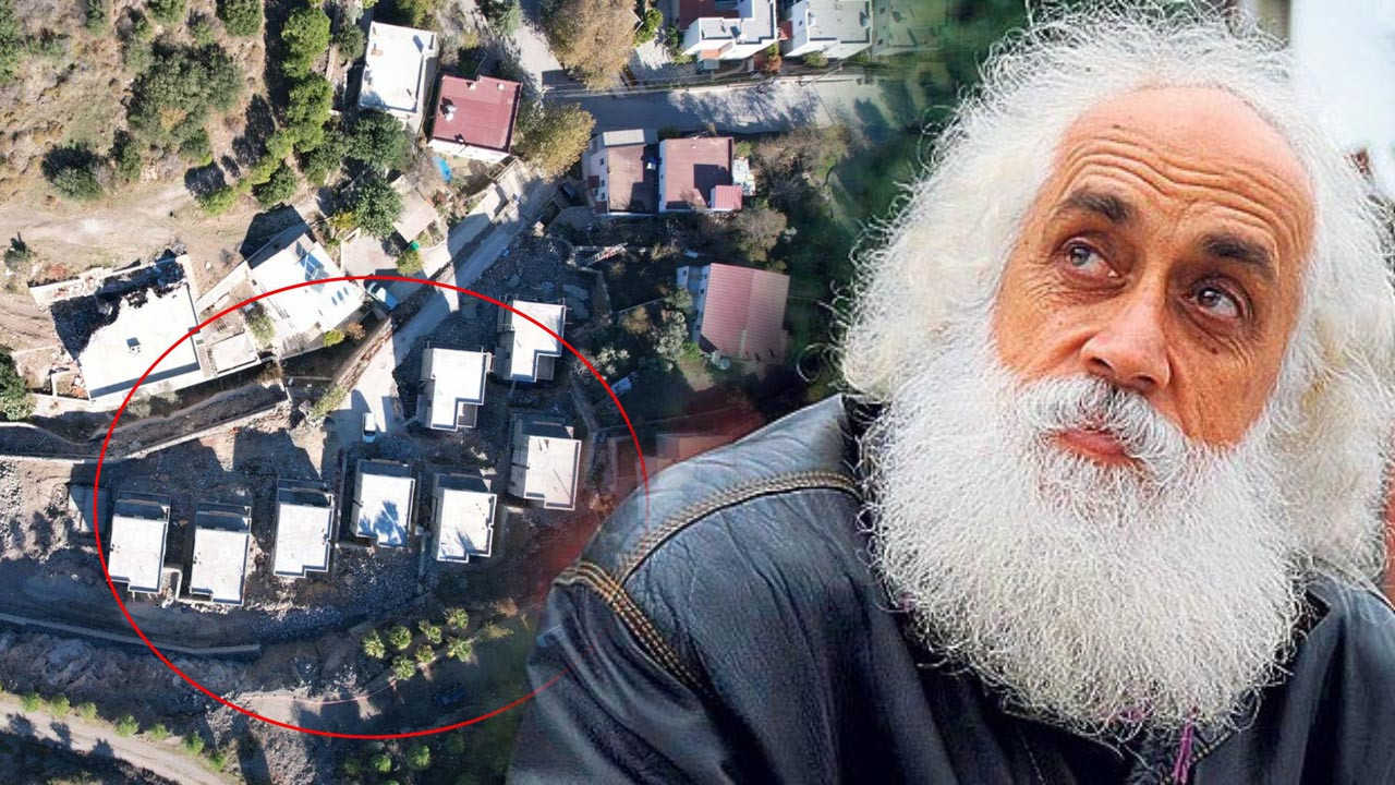 Bakanlık İnceledi, Ağaçların Kesildiği Tespit Edildi: Suavi'den İlk Açıklama Geldi