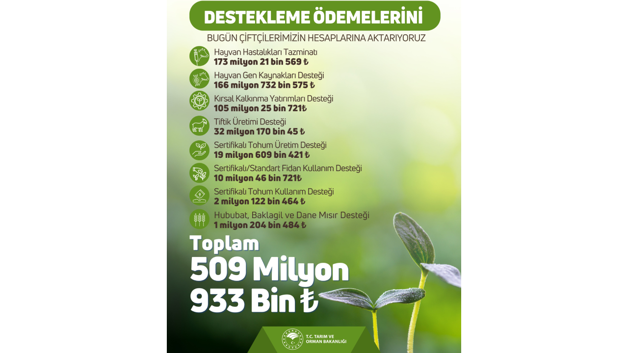 Hesaplarınızı Hemen Kontrol Edin: Resmen Duyuruldu! 309 Milyon Liralık Ödeme Hesaplara Geçiyor - Resim: 2