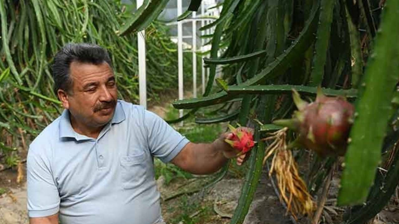 Marangozluğu Bıraktı Olmaz Denilen İşe Başladı! İlk Hasatta Rekor Kırdı - Resim: 2