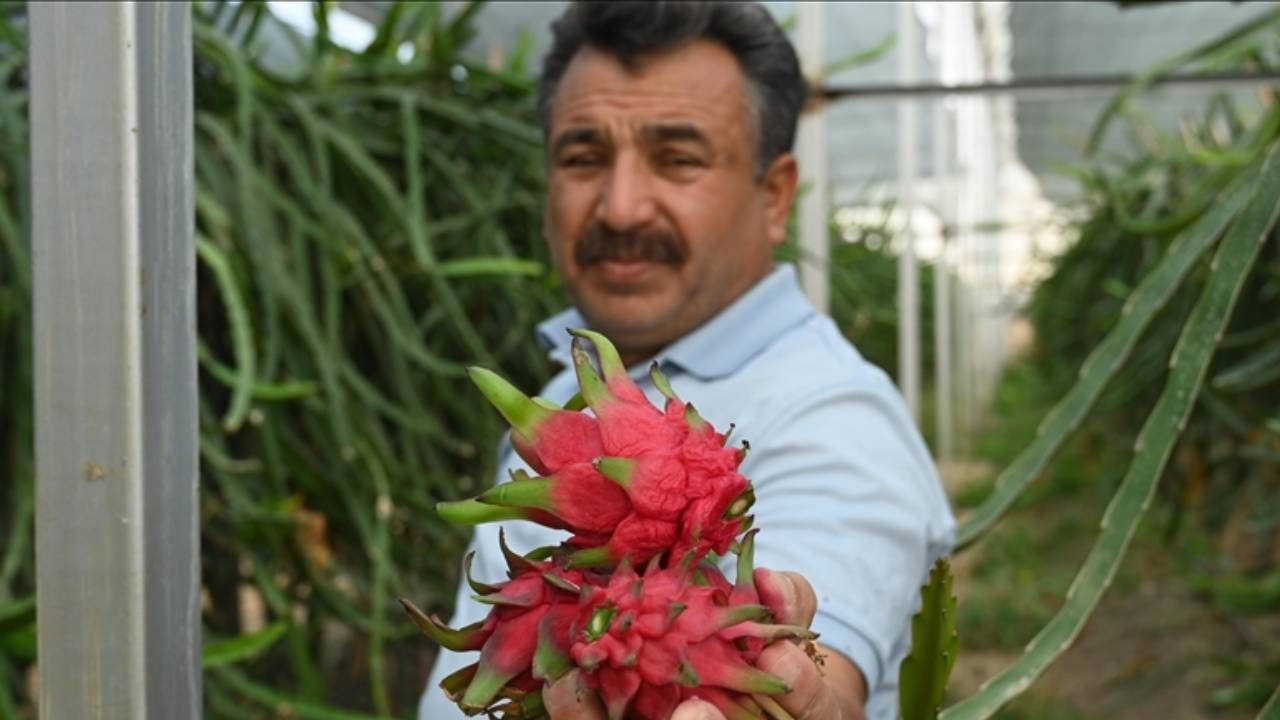 Marangozluğu Bıraktı Olmaz Denilen İşe Başladı! İlk Hasatta Rekor Kırdı - Resim: 3