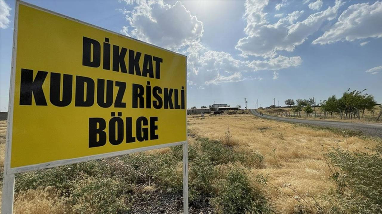 Elazığ'dan Kahreden Haber: Kuduz Tedavisi Gören 9 Yaşındaki Çocuk Hayatını Kaybetti