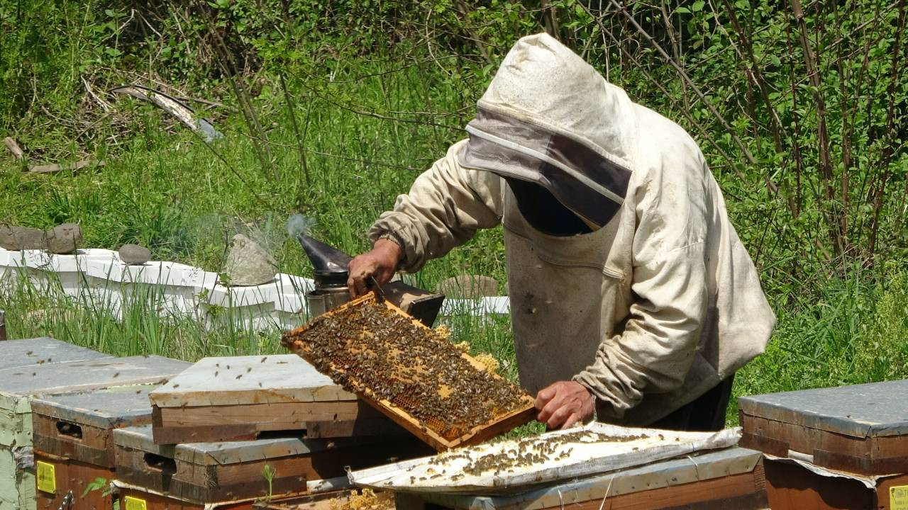 O Şehrimizde 110 Ülkeden Daha Çok Bal Üretiliyor: 55 Ülkeye İhraç Ediliyor
