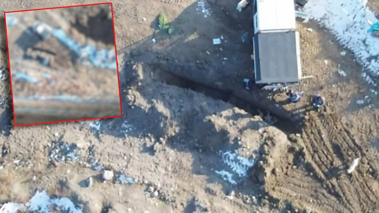 Vahşetin Adresi Bu Kez Erzincan! Belediyeden Kan Donduran Talimat: Sahipsiz Köpekleri Canlı Canlı Gömdüler