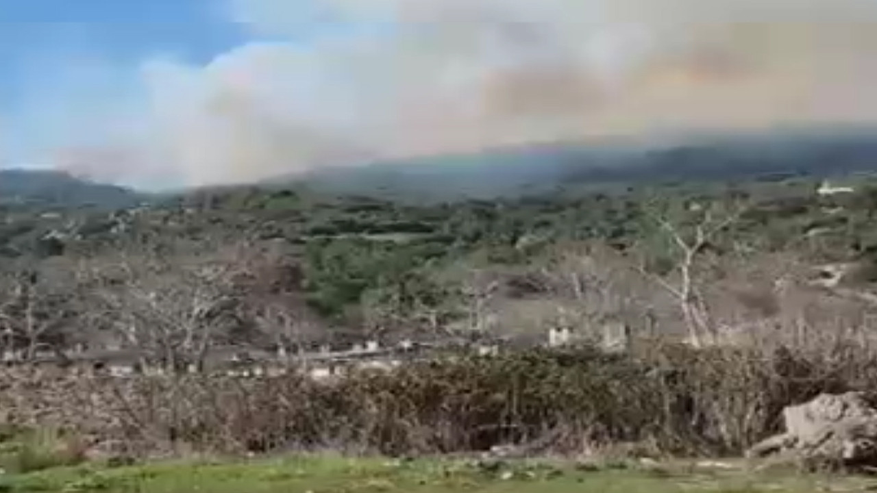 Çanakkale'de Orman Yangını