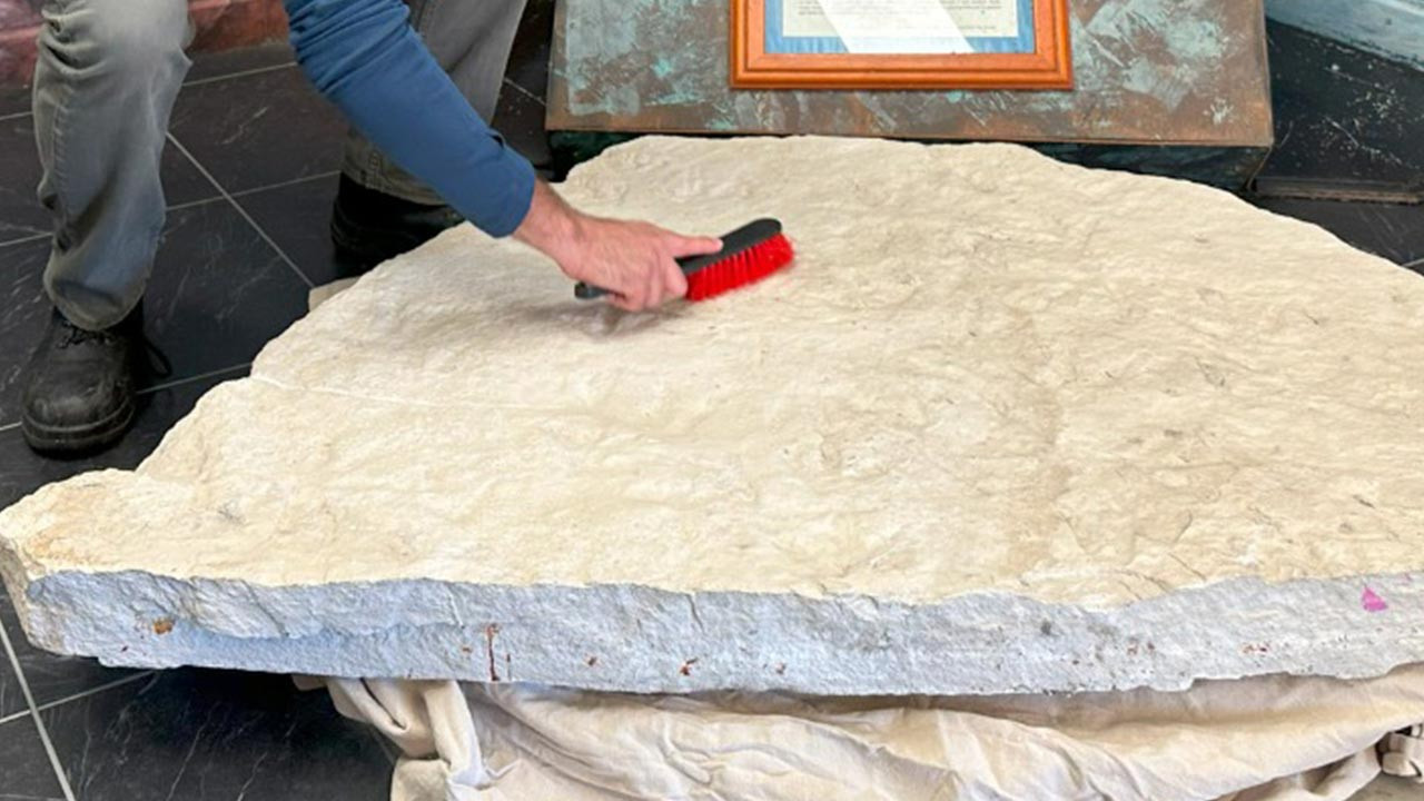 Bilim İnsanları Şaşkın! 200 Milyon Yıllık Kaya Parçasında Keşfedildi, Tam 66 Tane