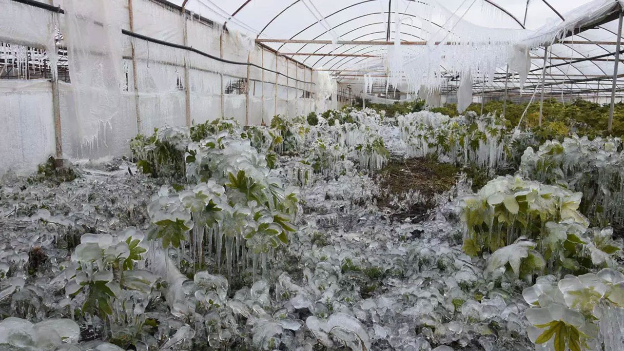 Meteoroloji Uyardı Çok Kuvvetli Geliyor! Çiftçileri Yıkan Haber, Hepsi Yok Olacak: Bu Gece Başlıyor 6 İle Dikkat