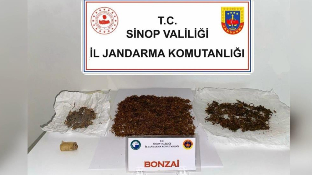 Sinop'ta Uyuşturucu Operasyonu: 1 Gözaltı