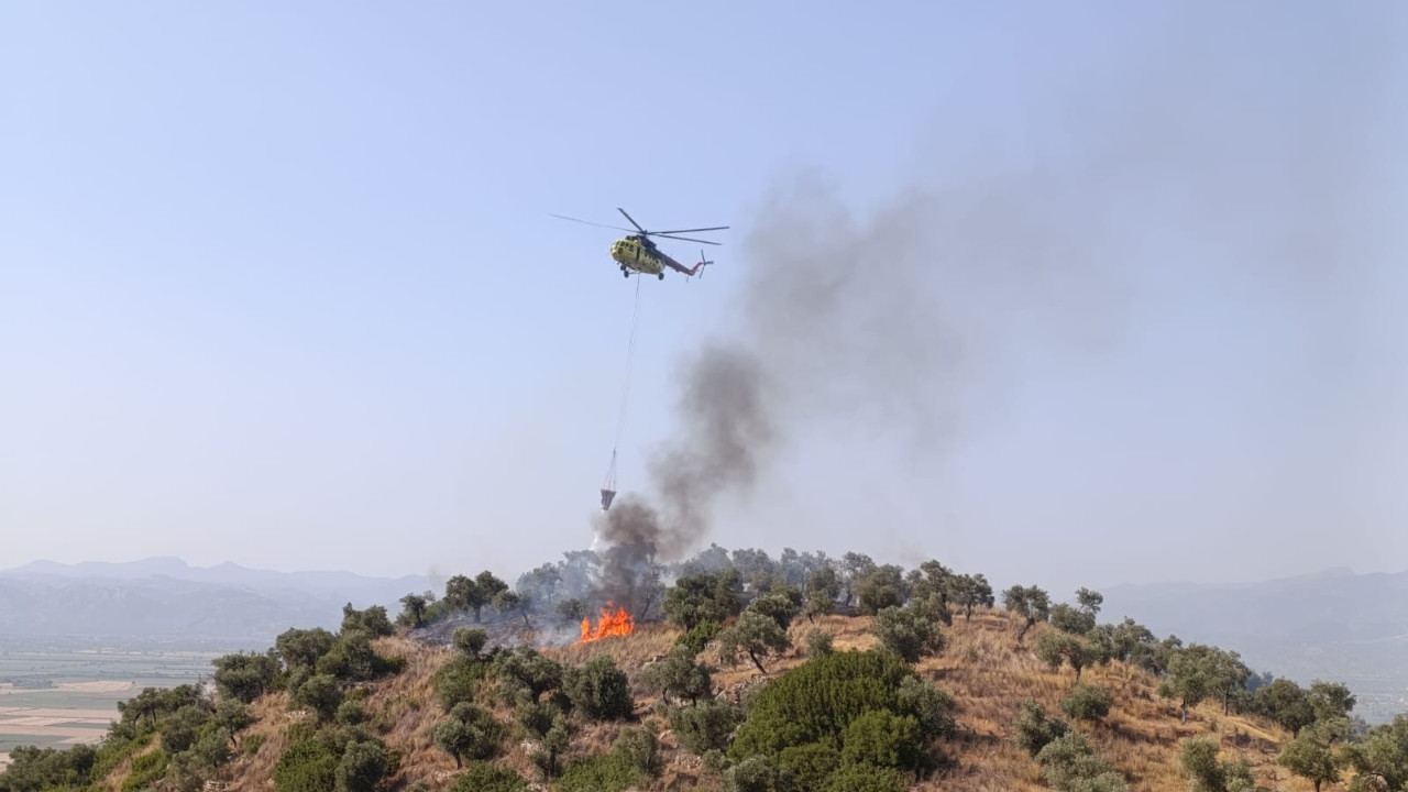 Aydın'da Zeytinlik Alanda Korkutan Yangın