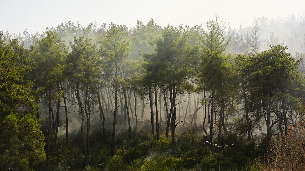 Yine Orman Yangını Çıktı: Çanakkale'de Tahliyeler Başladı - Resim : 1