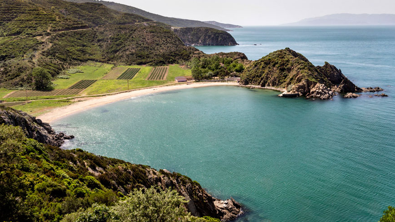 Doğa Katliamı Sürüyor! 3 Miras Ranta Açıldı… İstanbul’un Göz Bebeği de Aralarında - Resim : 1