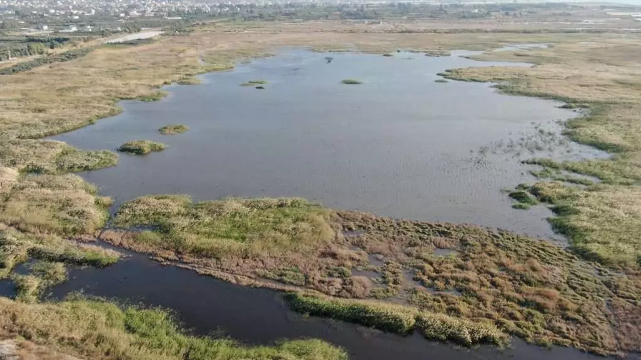 Doğa Katliamı Sürüyor! 3 Miras Ranta Açıldı… İstanbul’un Göz Bebeği de Aralarında - Resim : 2
