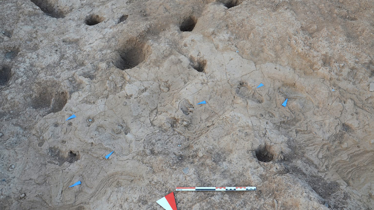 Hatay’da İnanılmaz Keşif! 7 Bin Yıllık DNA… Bir Değil Tam 5 Tane - Resim : 2