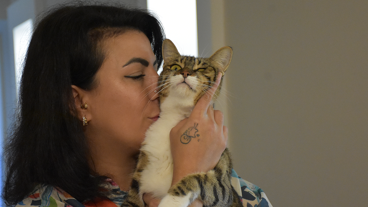 Trabzonlu Hayvansever Duygulandırdı! 5 Kedi Dünyalar Kadar Sevgi… Kalpleri Isıtan Bir Hikaye - Resim : 1