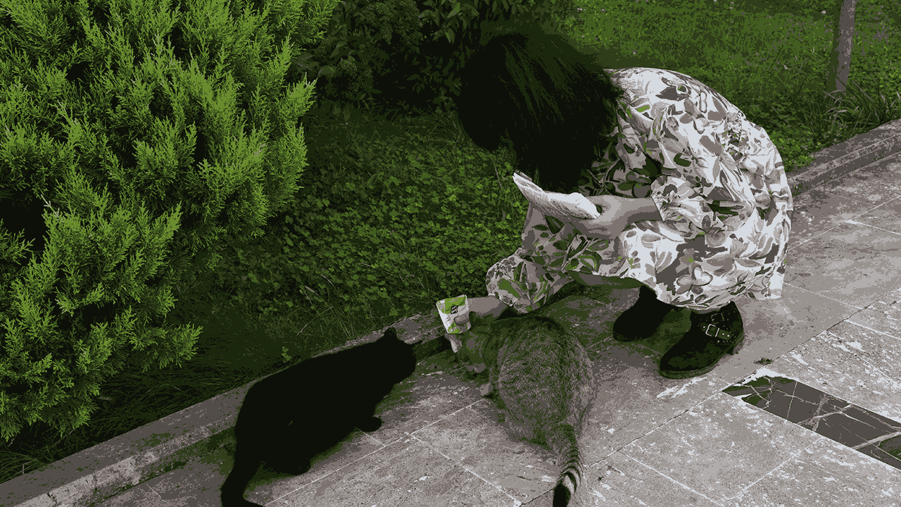 Trabzonlu Hayvansever Duygulandırdı! 5 Kedi Dünyalar Kadar Sevgi… Kalpleri Isıtan Bir Hikaye - Resim : 3