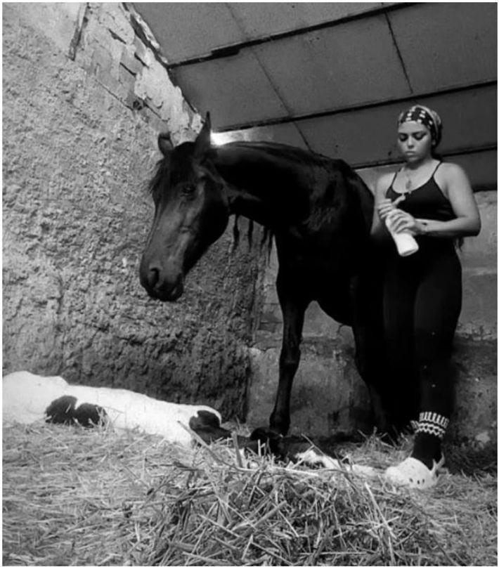 43. Kattan Düşmüştü! Takipsizlik Kararı Kaldırıldı, Semanur Arslan'ın Şüpheli Ölümünde Dosyası Yeniden Açıldı - Resim : 1