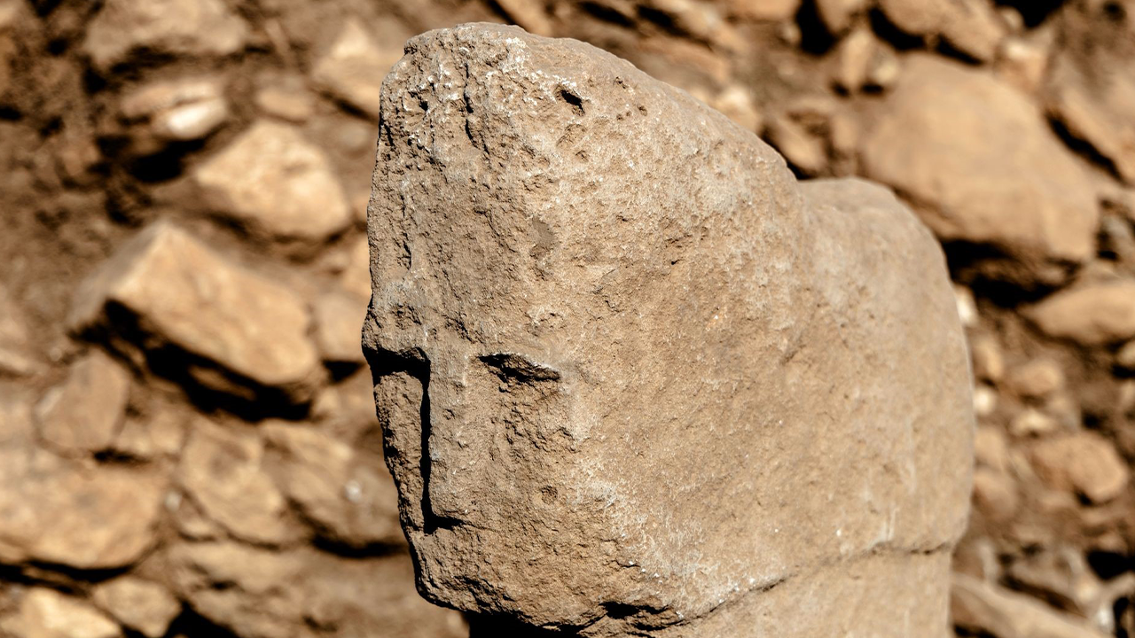 Şanlıurfa’da Bir İlk! İnsanlık Tarihinin Sırrı Ortaya Çıktı - Resim : 2