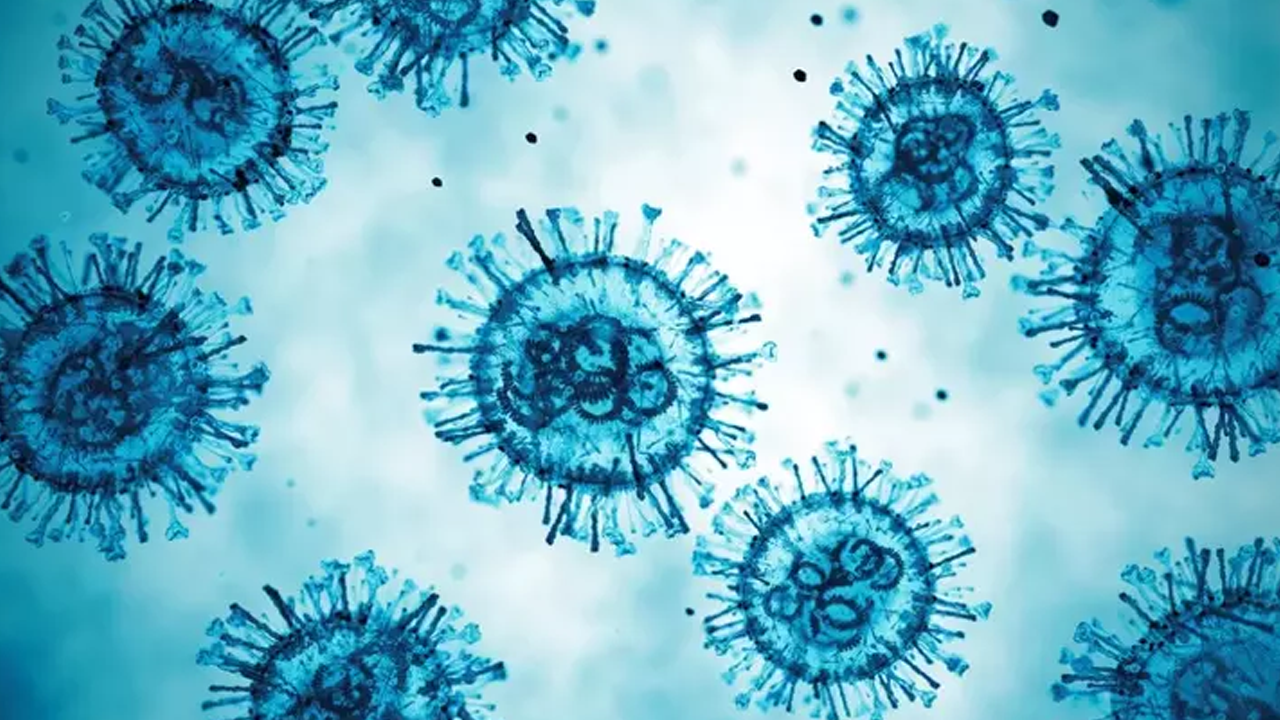 Yeni Salgın Kapıda! Türkiye’de de Görüldü, Belirtileri Grip ile Aynı… Test Yapılmadan Fark Edilmiyor - Resim : 2